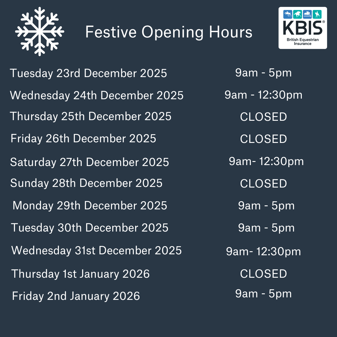 Festive Opening Hours (1)