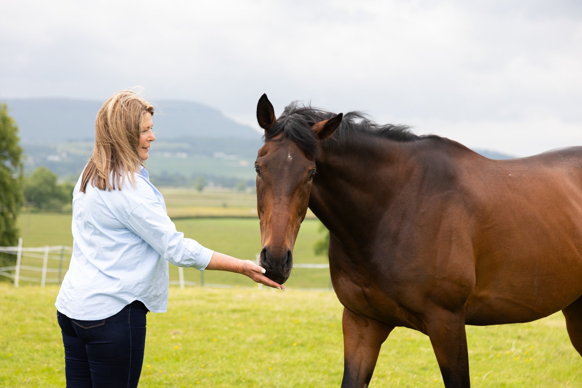 IMG_1641-1 IMG_1641-1