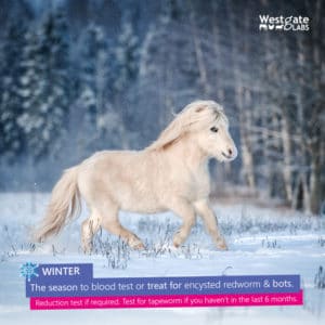 worming horses in winter advice