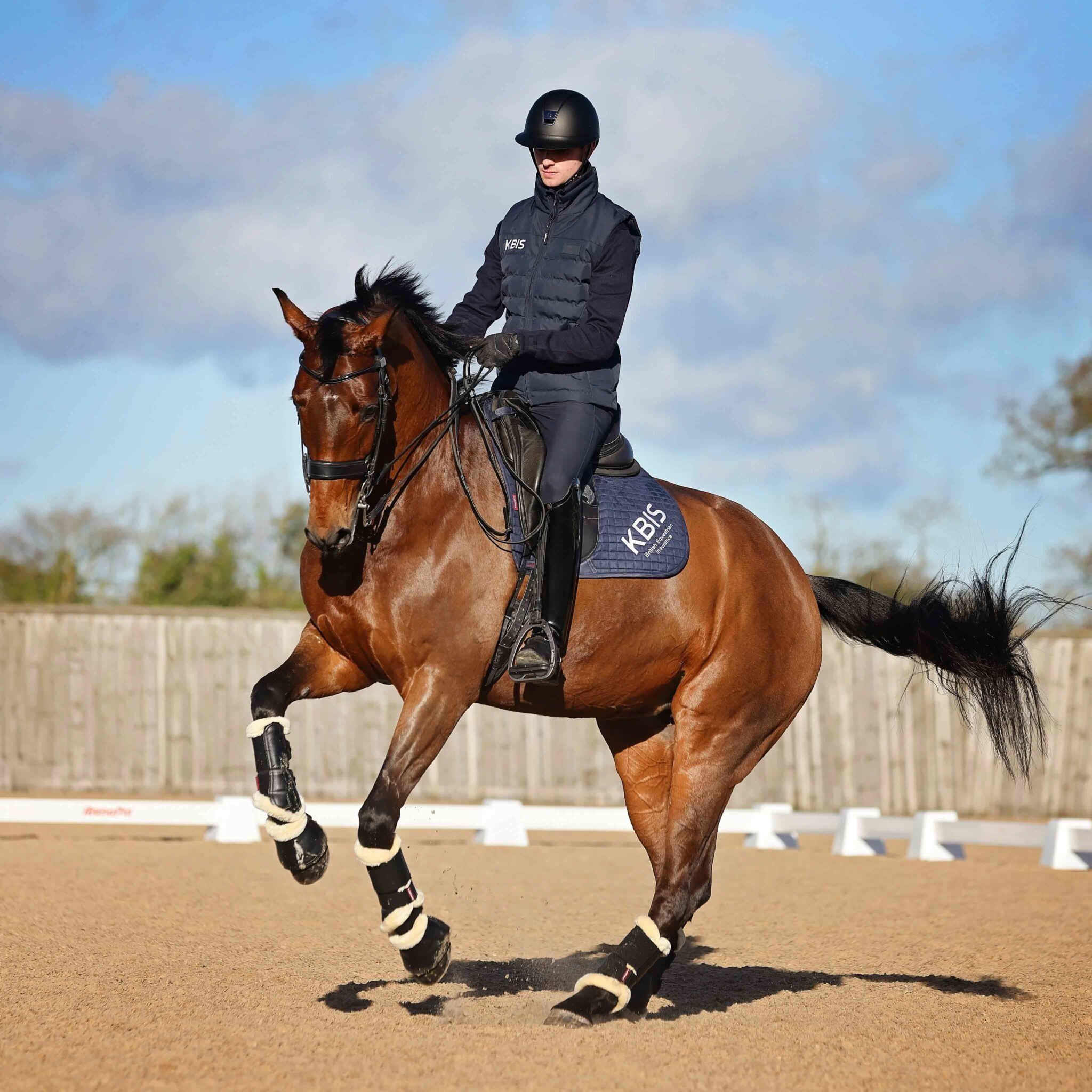 Freelance Rider
