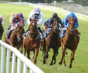 bloodstock-thumbnail-300x249-2
