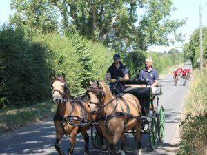 horse-driving-club-thumb-300x225