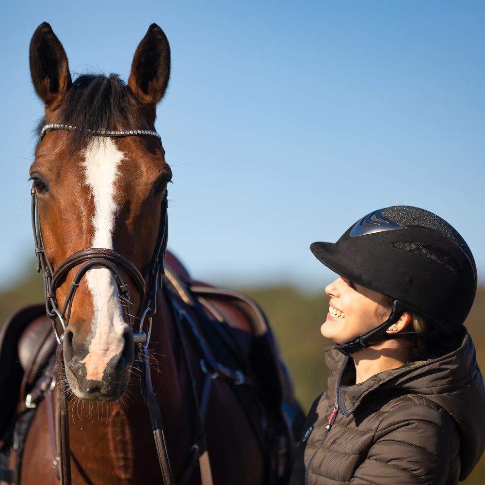 horse-insurance-category-square-oct23