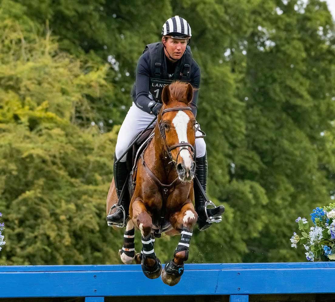 sport-horse
