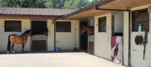 yard-insurance-banner-300x134