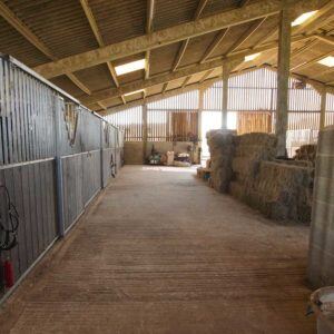 yard-insurance-square-oct23-300x300