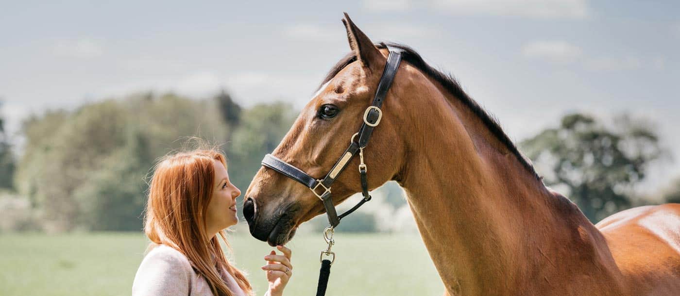 Top ten tips when buying a new horse