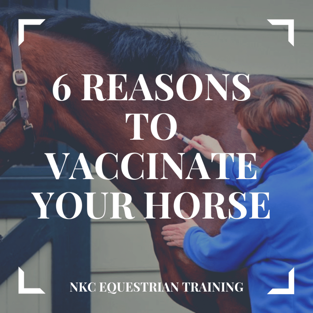 6 Reasons to vaccinate your horse