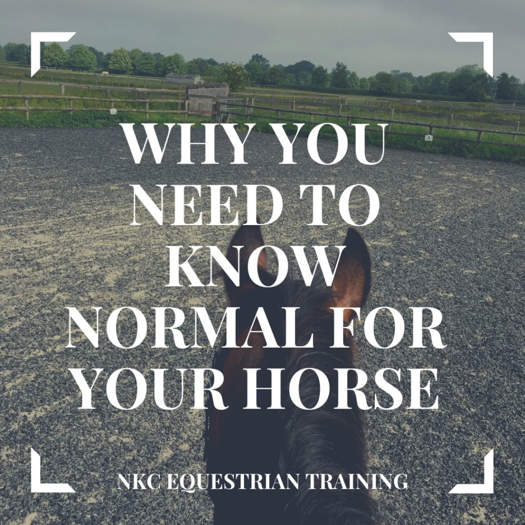 Why you need to know normal for you horse