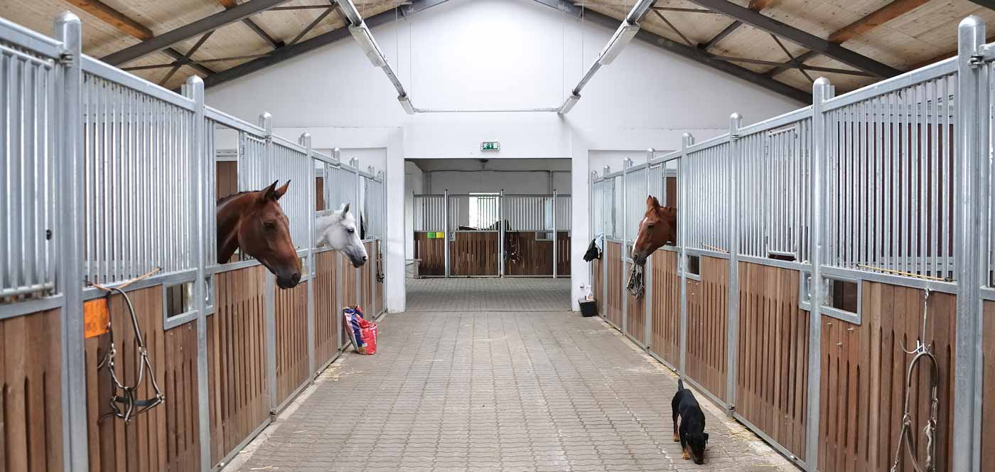 Equestrian stables